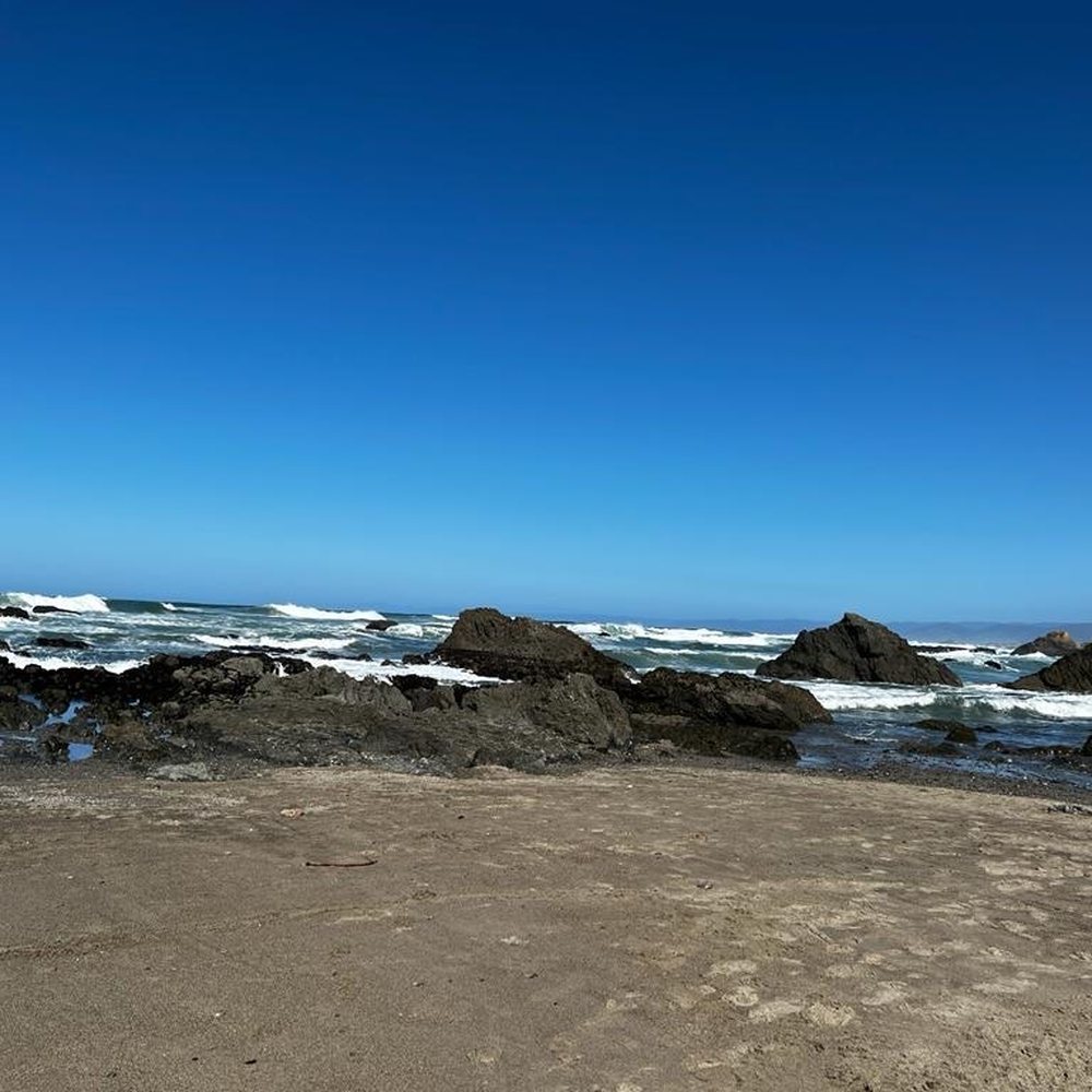 Surf and Sand Lodge - Hotels Near Me - Fort Bragg, California Surf and Sand Lodge - Hotels Near Me - Fort Bragg, California