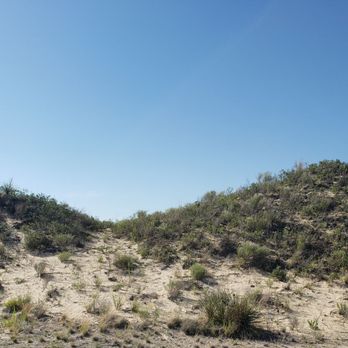 Monahans Sandhills State Park - Hiking Near Me - Monahans, Texas Monahans Sandhills State Park - Hiking Near Me - Monahans, Texas