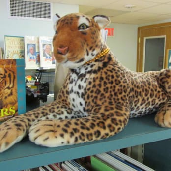 Hope Library - A large feline - Libraries Near Me - Hope, Rhode Island