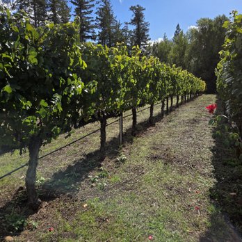 Toulouse Vineyards and Winery - Wineries Near Me - Philo, California
