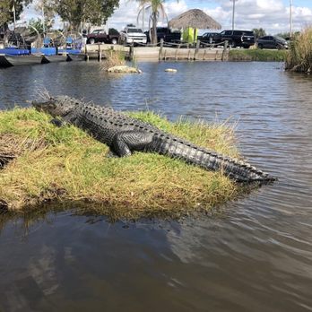 Captain Mitch's Airboat Tours - Boat Tours Near Me - Naples, Florida Captain Mitch's Airboat Tours - Boat Tours Near Me - Naples, Florida