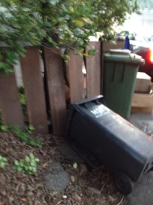 Marin Sanitary Service by null