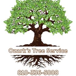 ozark's Tree Service