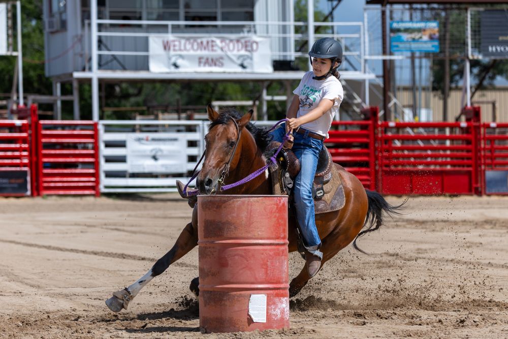 MC Equine - equestrian in Helotes, TX