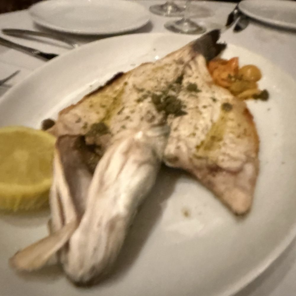 Nesos - Awesome fish - Greek Near Me - Newport Beach, California