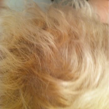 Mariemarie Salon - Really uneven hair color by Andrew. :( Disappointing. - Hair Salons Near Me - Atlanta, Georgia Mariemarie Salon - Really uneven hair color by Andrew. :( Disappointing. - Hair Salons Near Me - Atlanta, Georgia