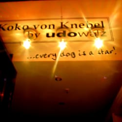 Koko von Knebel