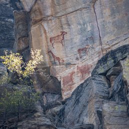 Ancient Rock Art