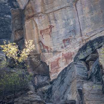 Wilderness Travel - Ancient Rock Art - Travel Services Near Me - Berkeley, California