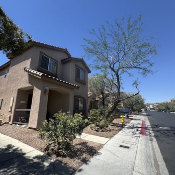 WestCo Tree Service - After - Tree Services Near Me WestCo Tree Service - After - Tree Services Near Me