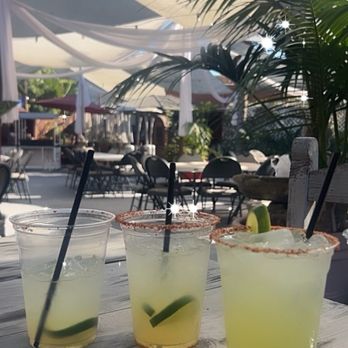 Orozco's De Ventura - 3 House margaritas - Seafood Near Me - Ventura, California Orozco's De Ventura - 3 House margaritas - Seafood Near Me - Ventura, California