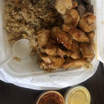 Two Brothers Hibachi - Three meats - Food Trucks Near Me - Sherman, Texas