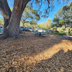 Macfarlane Park