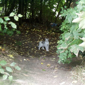 Baurat-Scherman-Weg - Parks Near Me - Holzminden, NI