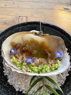 Conchas de Piedra by null Conchas de Piedra by null