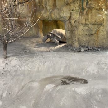 Reptilia - Zoos Near Me - Whitby, Ontario