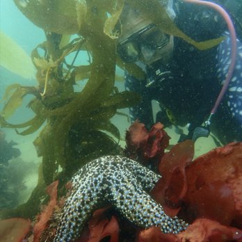 I Love Diving - Scuba Diving Near Me I Love Diving - Scuba Diving Near Me