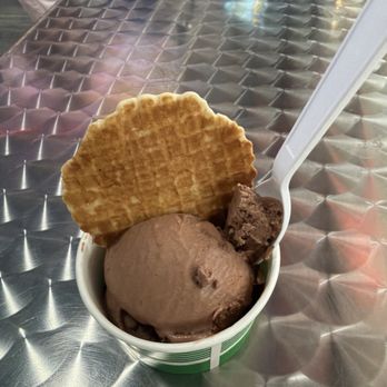 Gator Ice Cream - Sugar free Chocolate ice cream is delicious! - Ice Cream & Frozen Yogurt Near Me - Jacksonville, Florida Gator Ice Cream - Sugar free Chocolate ice cream is delicious! - Ice Cream & Frozen Yogurt Near Me - Jacksonville, Florida