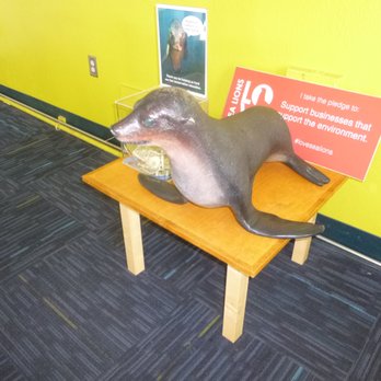 Sea Lion Center - Museums Near Me - San Francisco, California