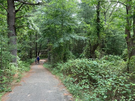 Wompatuck State Park by null