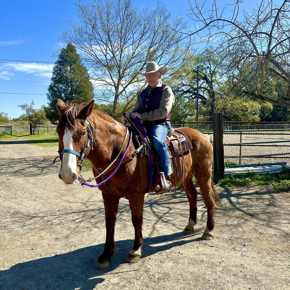 After 8 years, I'm back in the saddle! After 8 years, I'm back in the saddle!