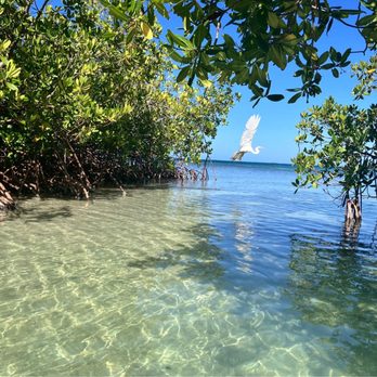 Jungla Beach - Beaches Near Me - Guanica, Puerto Rico