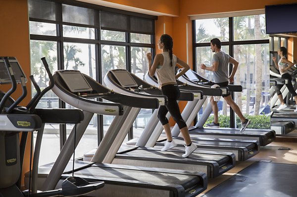 Fort Lauderdale Marriott Harbor Beach Resort & Spa by null