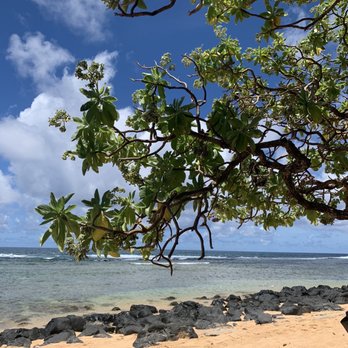 Larsen's Beach - Beaches Near Me - Kilauea, Hawaii Larsen's Beach - Beaches Near Me - Kilauea, Hawaii