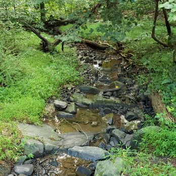 Patapsco Valley State Park - Parks Near Me - Ellicott City, Maryland