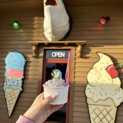 Turtle Roll - Entrance