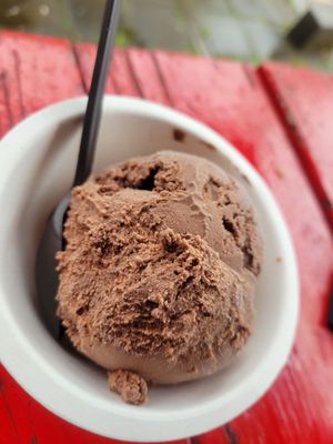 Hurry Back Ice Cream by null