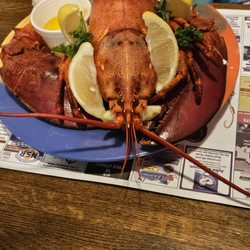 Makris Lobster & Steak House - 3.5 pound full steamed lobster with butter