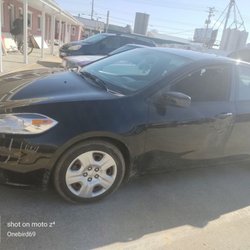 Birds Got It - The car you will be riding in