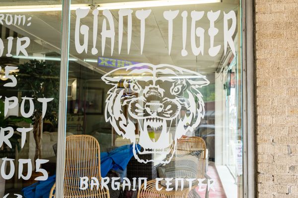 GIANT TIGER STORES - Updated January 2025 - 11 Photos - 1015 Central