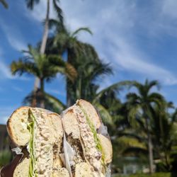 Deli-Licious Cucina & Cafe - Chicken salad on an everything bagel