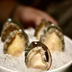 Mikiya Wagyu Shabu House - Abalone