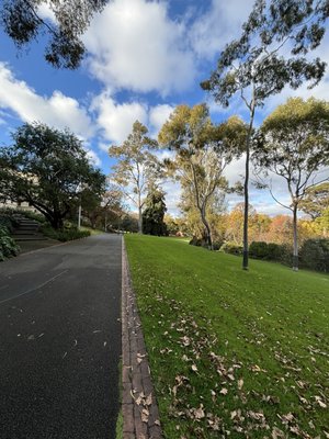 Fitzroy Gardens by null