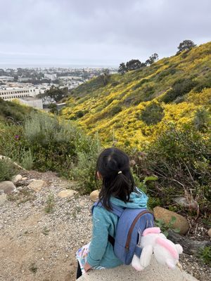 Ventura Botanical Gardens by null