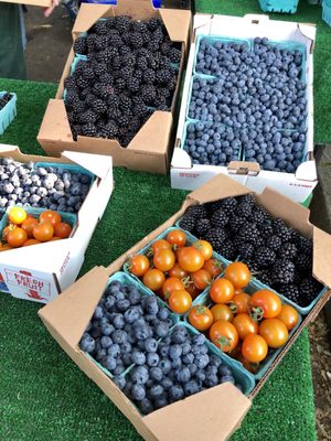 Lake City Farmers Market by null