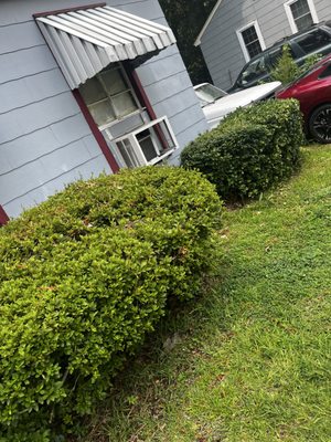 Coop Covenant Landscaping on Yelp