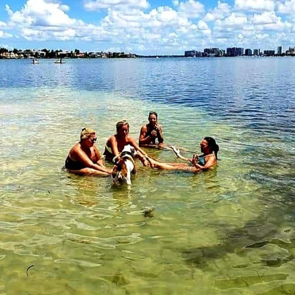 Slide of Murphy's Coastal Roof Solutions