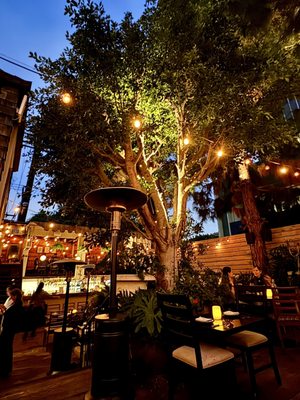 Fia Restaurant by null