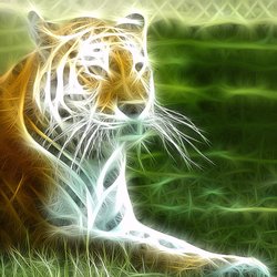 Flying Tiger Productions