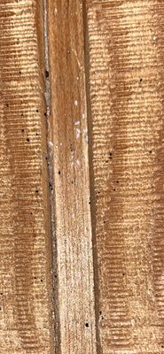 Golden Gate Canyon State Park by null