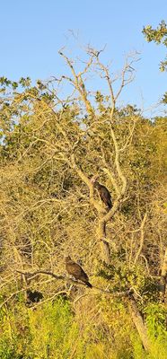 Lake Mineral Wells State Park by null