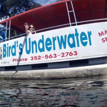 Bird's Underwater - Boat rider. Nice clean boat too. Coast Guard compliant. - Diving Near Me - Crystal River, Florida