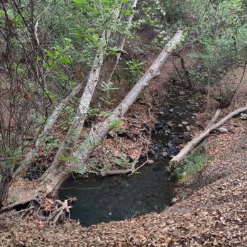Sycamore Canyon Park - Stream - Parks Near Me - Diamond Bar, California Sycamore Canyon Park - Stream - Parks Near Me - Diamond Bar, California