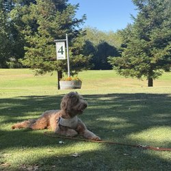 Sebastopol Golf Course