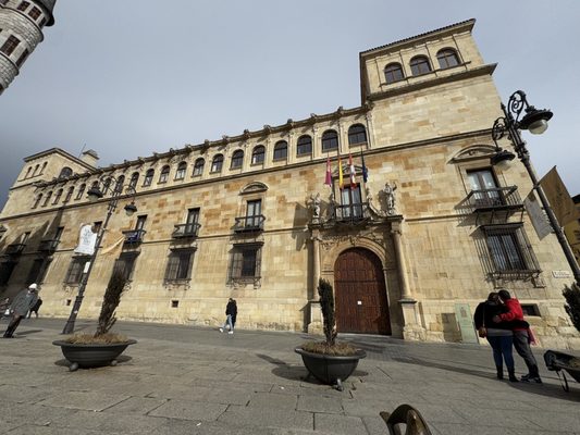 Palacio De Los Guzmanes by null