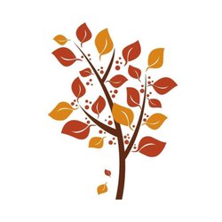 Elmwood Home Care